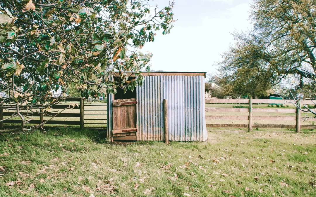 Shed Removal in Kennesaw, Marietta, and Woodstock GA: A Complete Guide