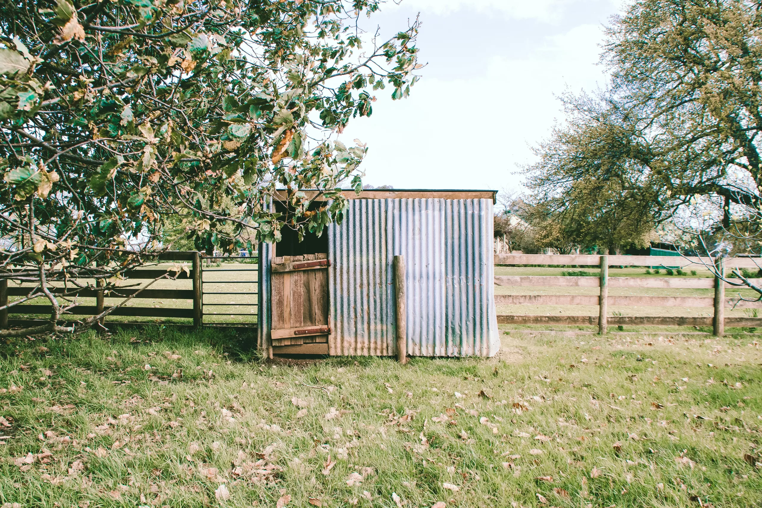 A guide to Shed Removal in Atlanta GA - NGA Junk Removal
